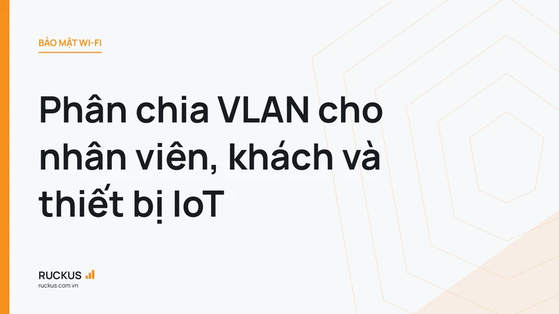 Phân chia VLAN cho nhân viên, khách và thiết bị IoT